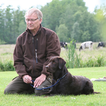 Hundetræning